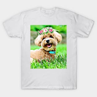 Cute Maltipoo with flower hair wreath T-Shirt